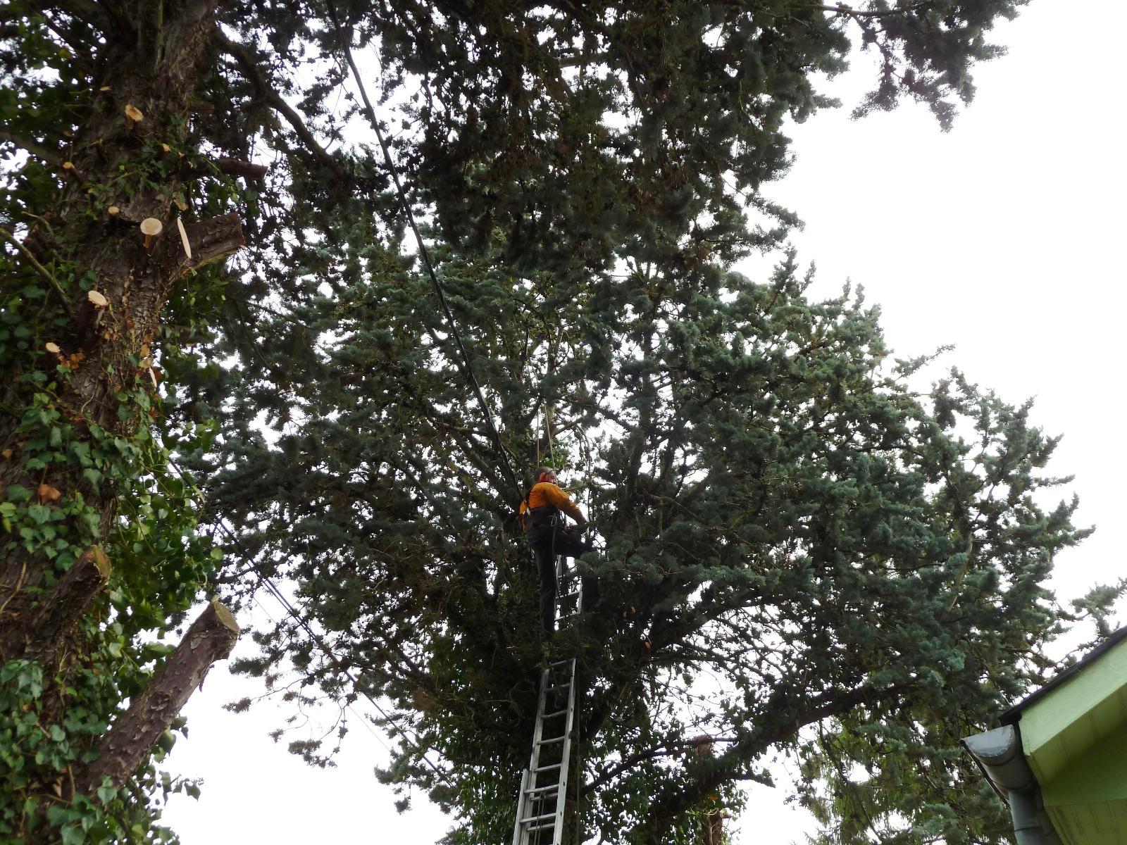 Abattage par rétention