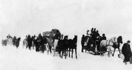 Schlittenhunde und ein Schlittenteam fahren in einem Schneesturm über eine verschneite Ebene.