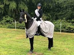 Person auf einem schwarzen Pferd, bekleidet mit einer grauen Decke, auf einem grasbewachsenen Feld