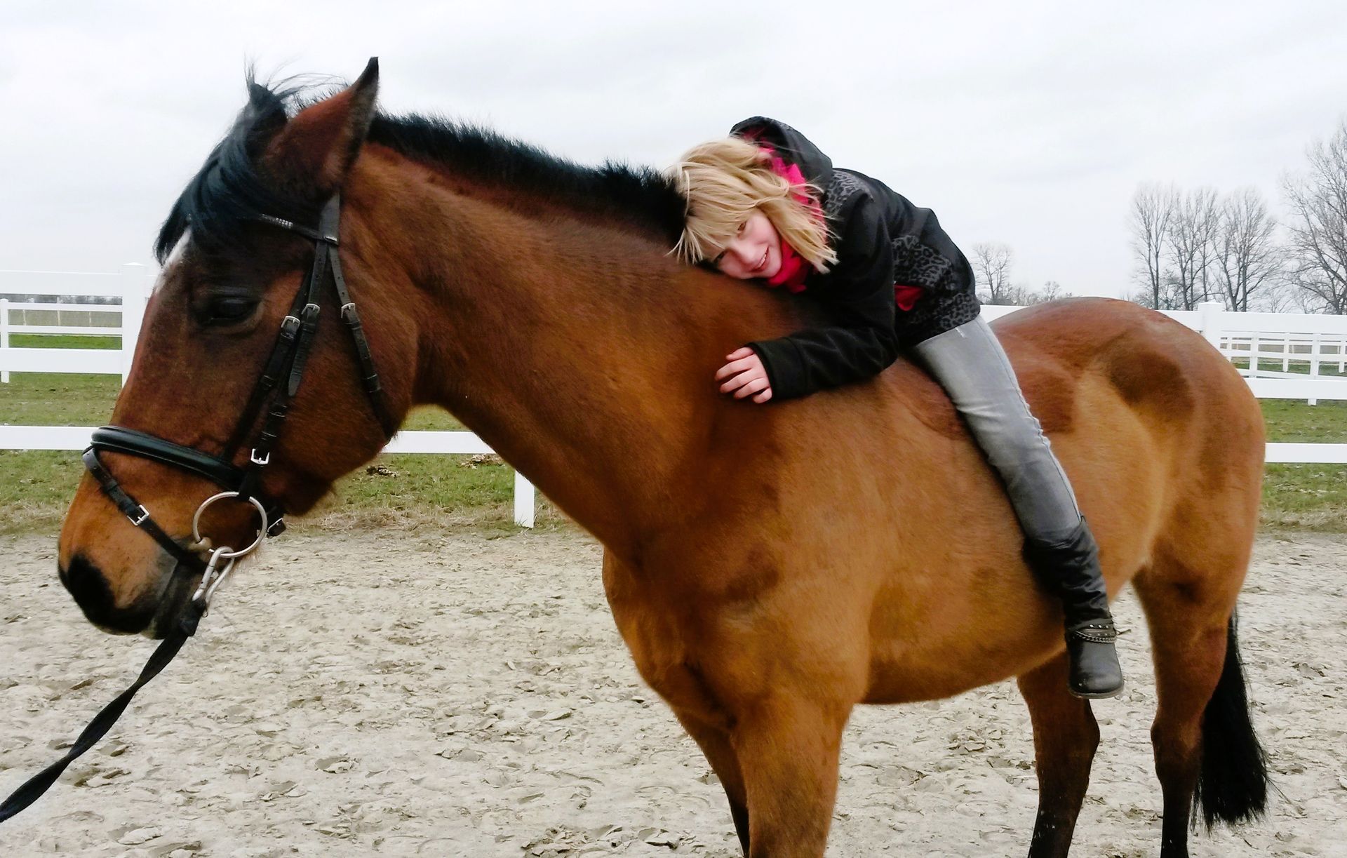 Eine Person umarmt ein braunes Pferd im Freien auf einer sandigen Koppel.