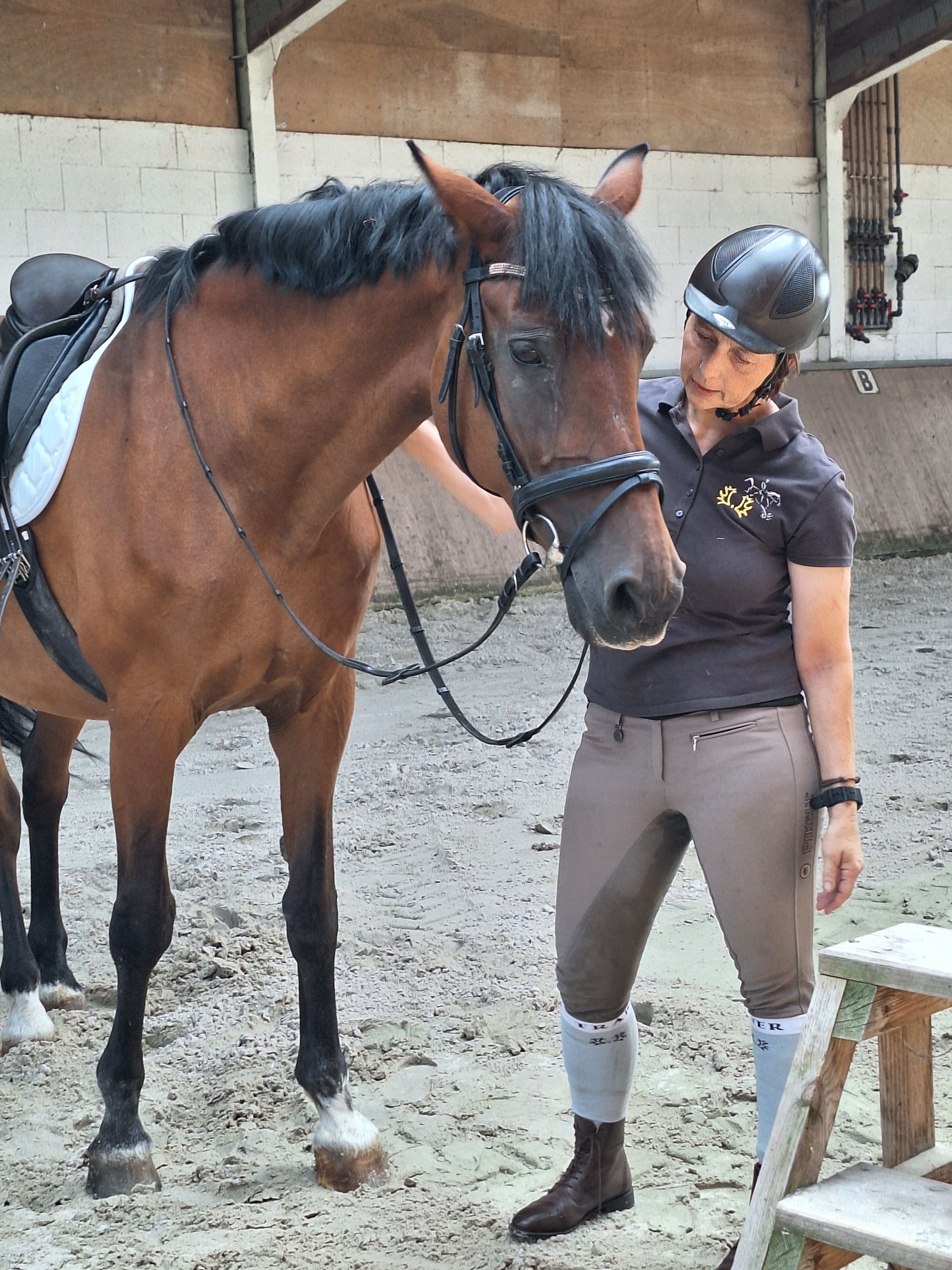 Eine Person in Reitkleidung steht neben einem braunen Pferd in einem Stall und hält die Zügel.