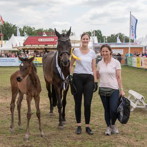 Zwei Frauen mit Pferd und Fohlen bei einer Reitveranstaltung im Freien, vor dem Vorführring.