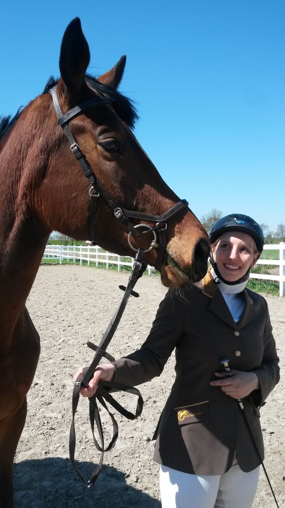 Eine Person in Reitkleidung steht im Freien unter blauem Himmel neben einem braunen Pferd.