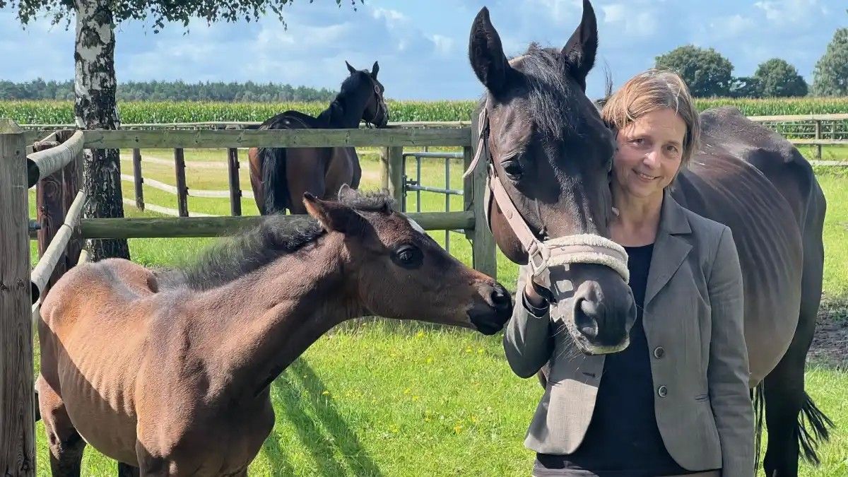 Frau steht an einem sonnigen Tag mit zwei Pferden auf einer grasbewachsenen Koppel.