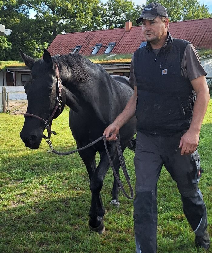 Ein Mann steht neben einem schwarzen Pferd auf einem grasbewachsenen Bauernhof; im Hintergrund ist ein Gebäude zu sehen