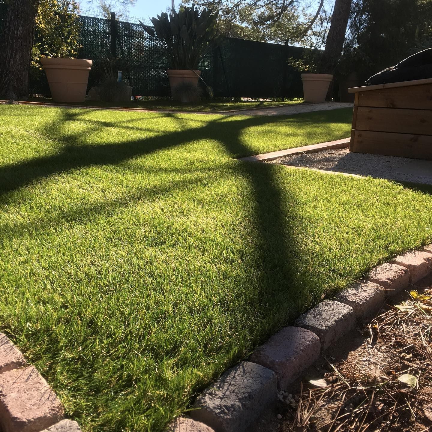 Création d'un jardin avec pelouse