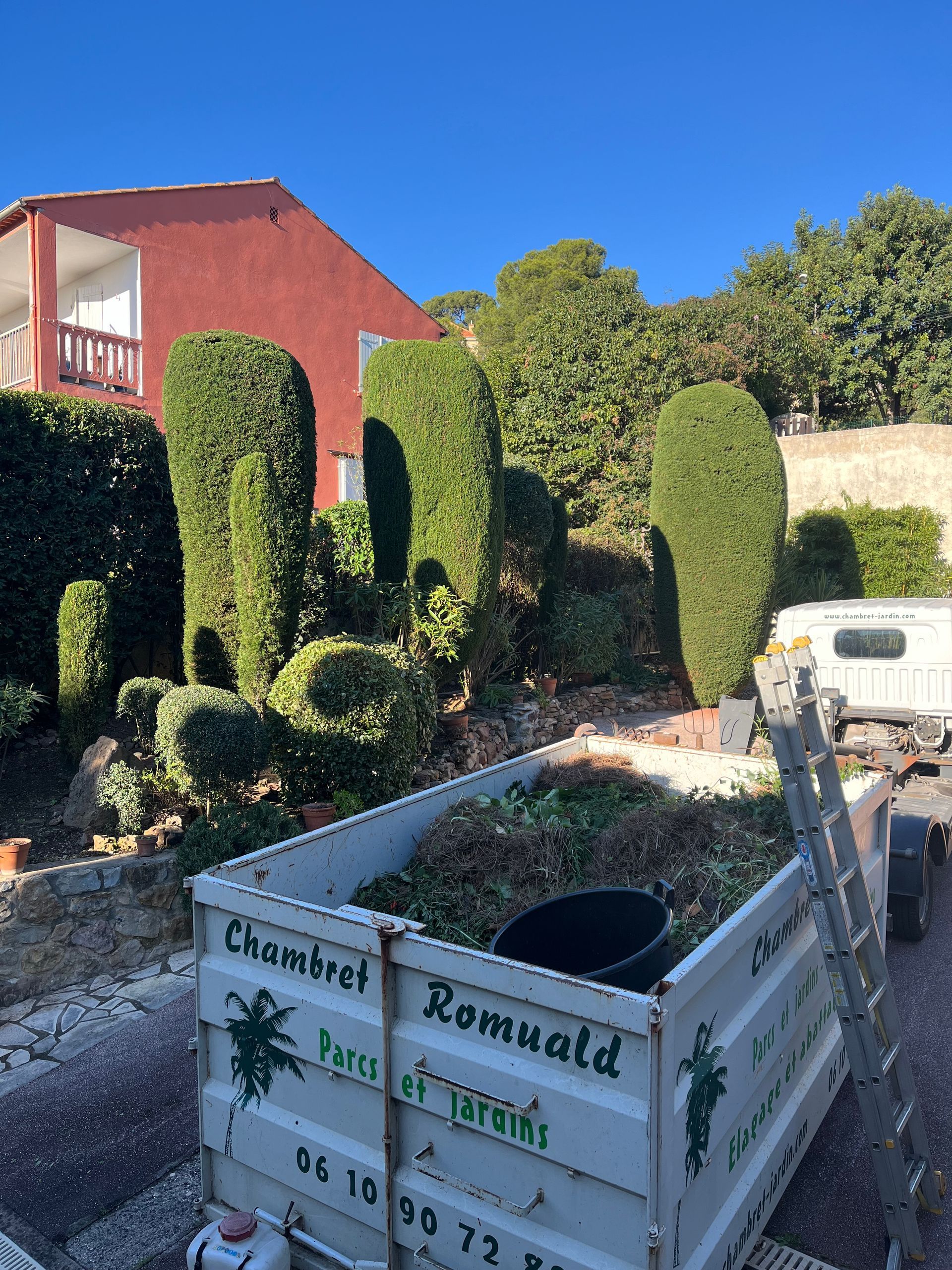 Taille d'arbustes en cours afin de leur donner une forme arrondie