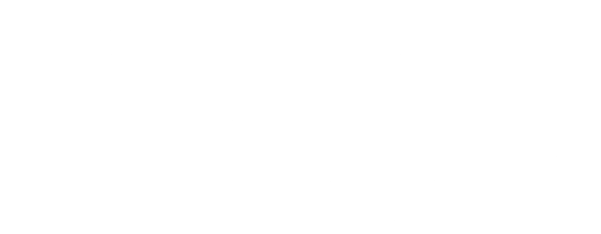 Logo BEMA Protect