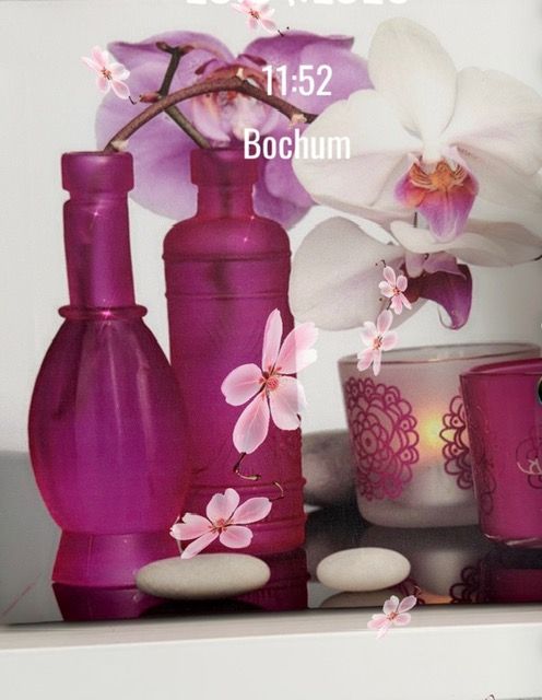 Dekorative Orchideen und Kosmetikflaschen in einem Kosmetikstudio