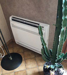 Radiateur Daikin à côté d'un cactus