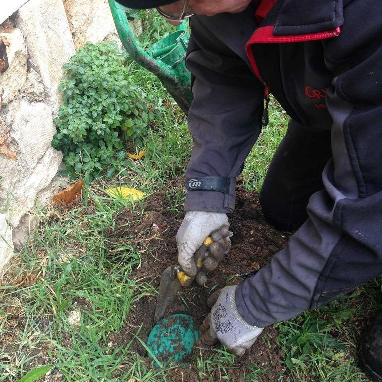 Mise en place de piège à termites