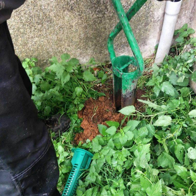 Pose de piège à termites