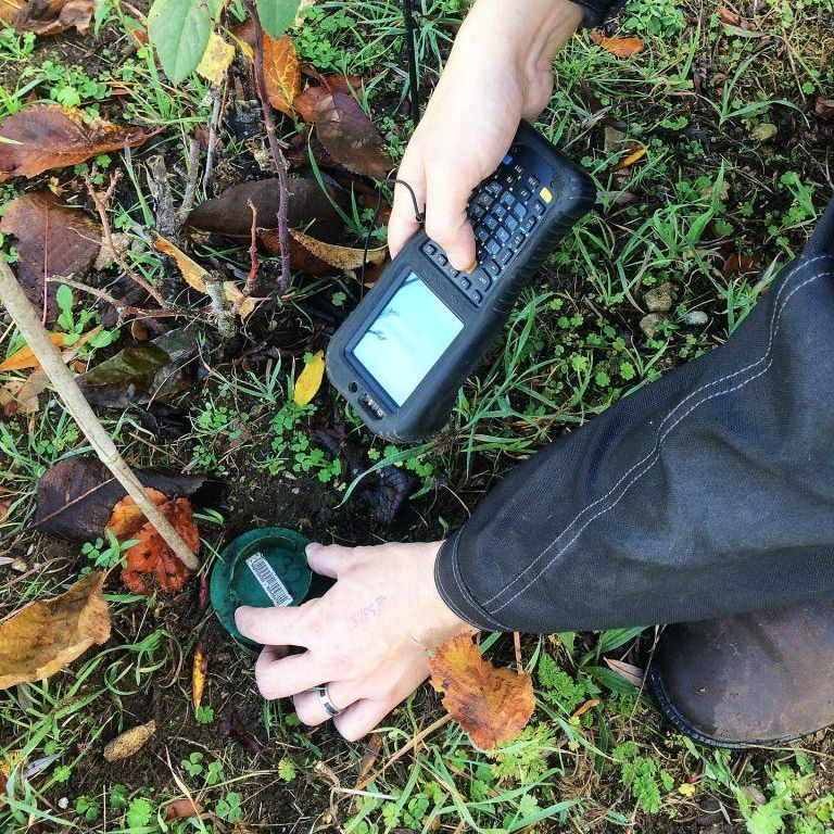 Scan de l'installation anti-termite
