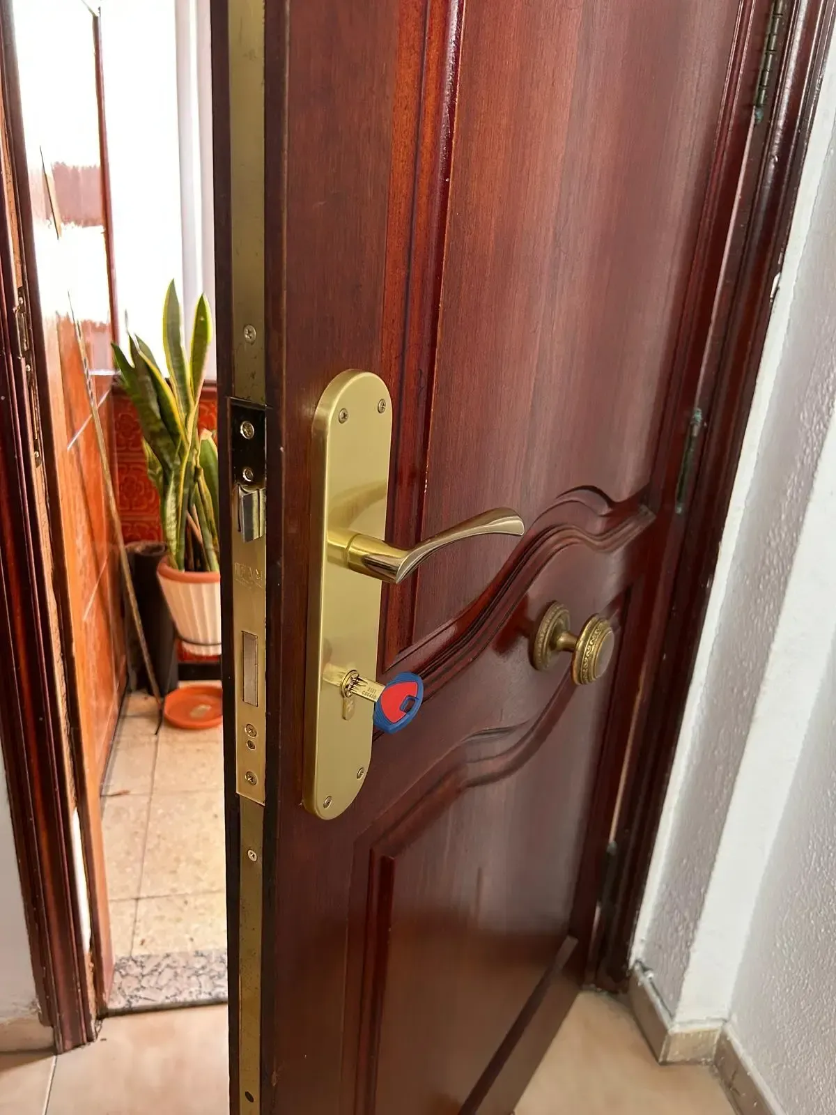 Una puerta de madera abierta con tirador de latón da a un pasillo embaldosado con una planta en maceta.