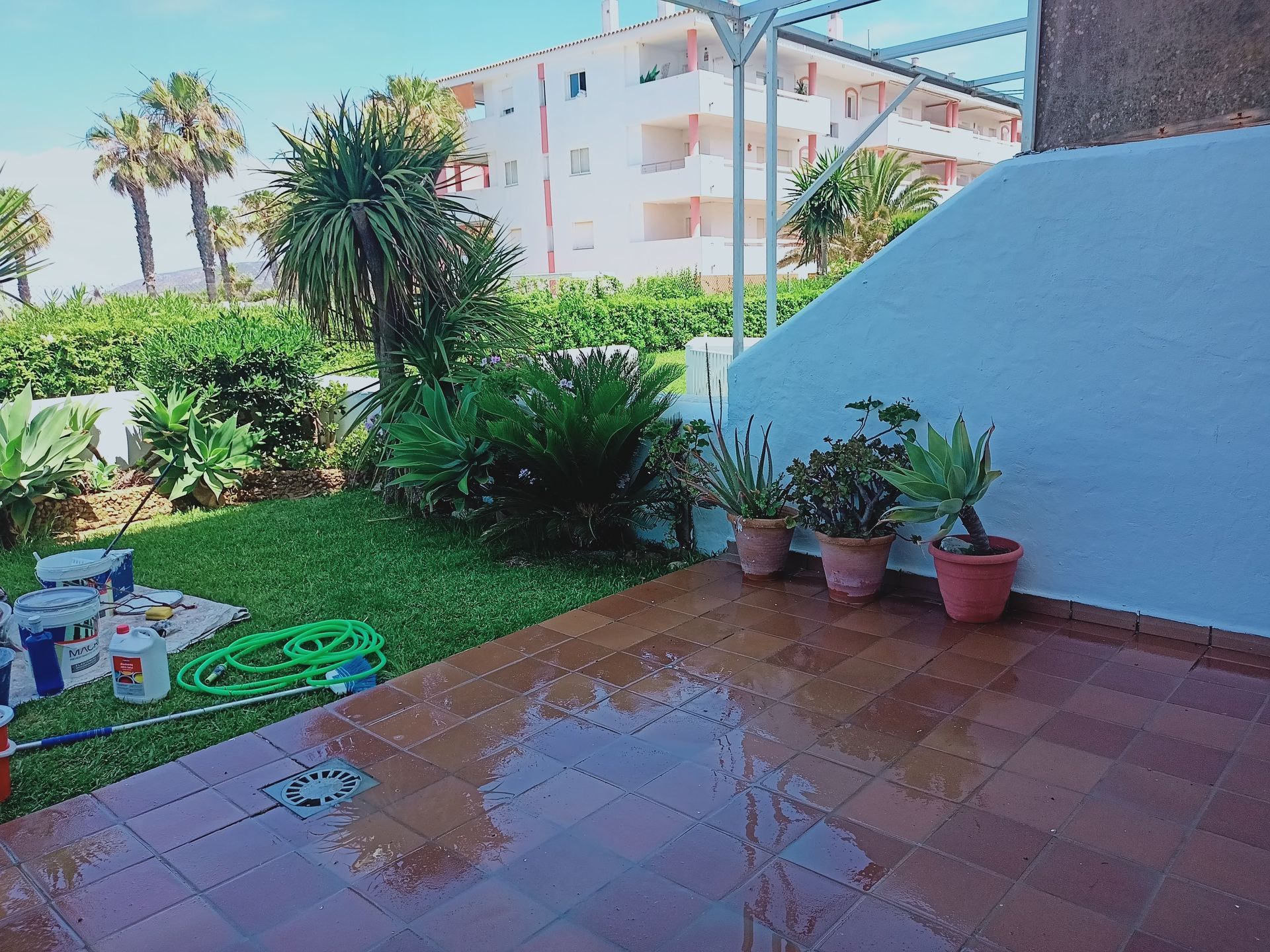 Un patio con plantas en macetas y una manguera encima.