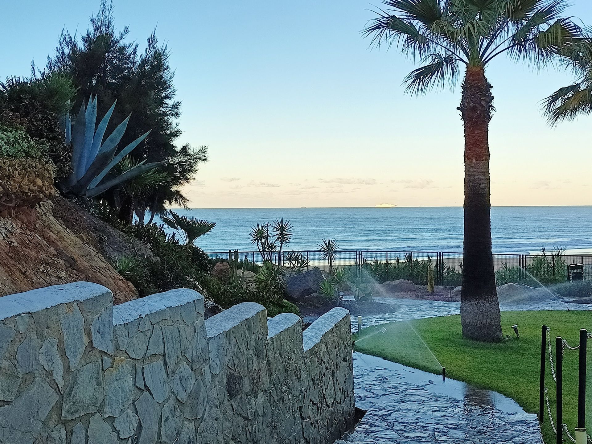 Un camino de piedra que conduce al océano con una palmera en primer plano.