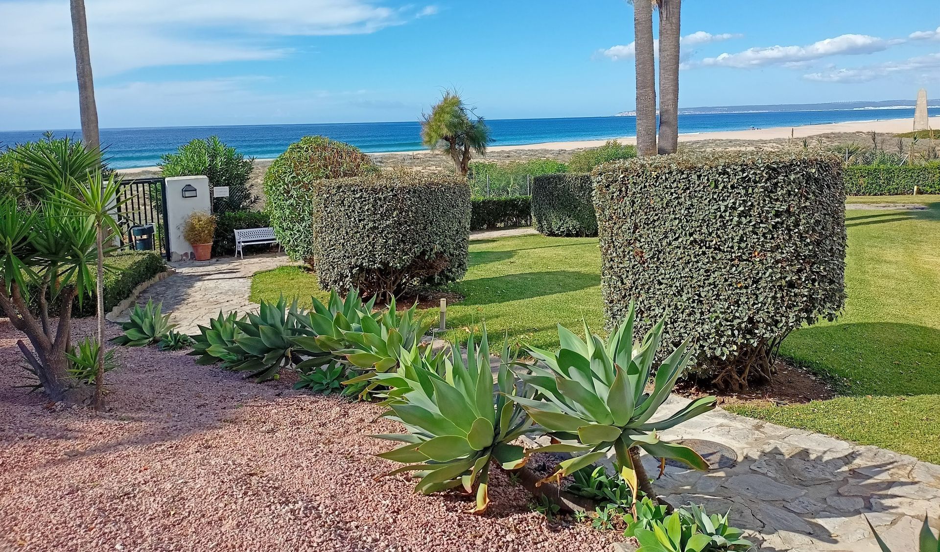 Un exuberante jardín verde con vista al océano.