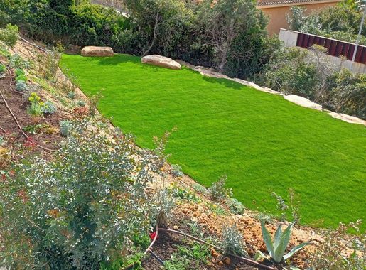 Un gran césped verde exuberante rodeado de árboles y arbustos en una ladera.