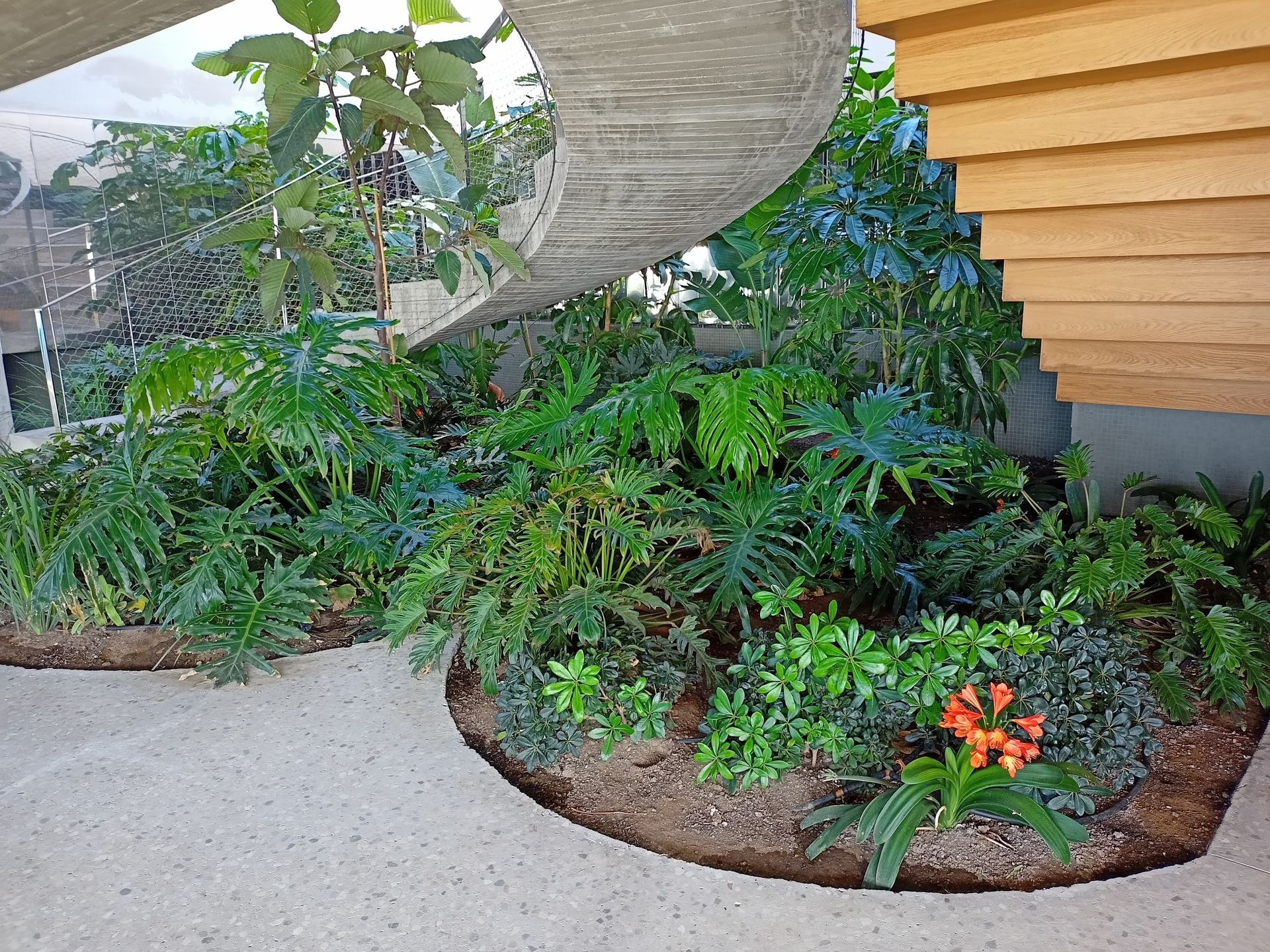 Un jardín con plantas y flores delante de un edificio.