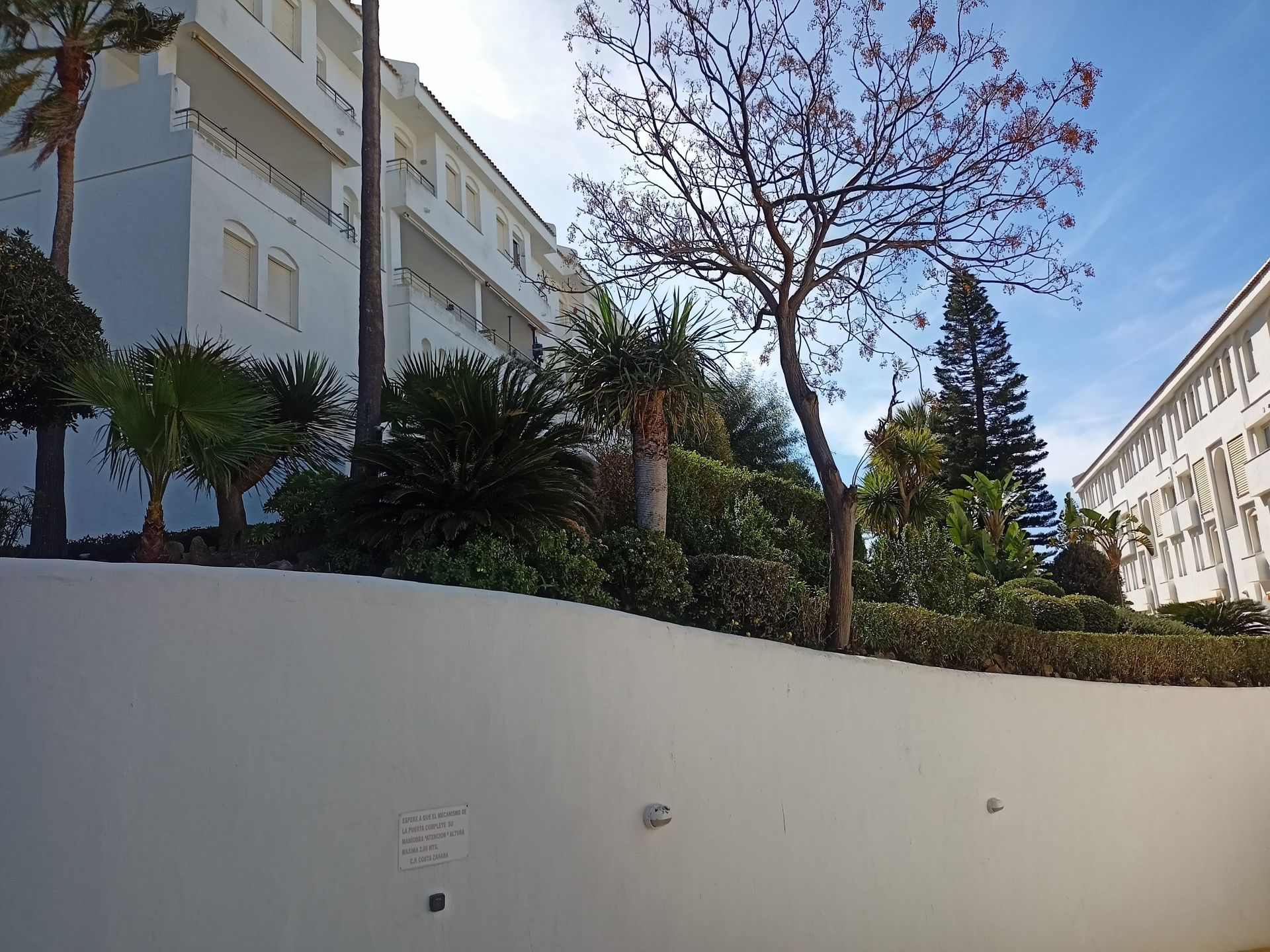 Un edificio blanco con palmeras delante.