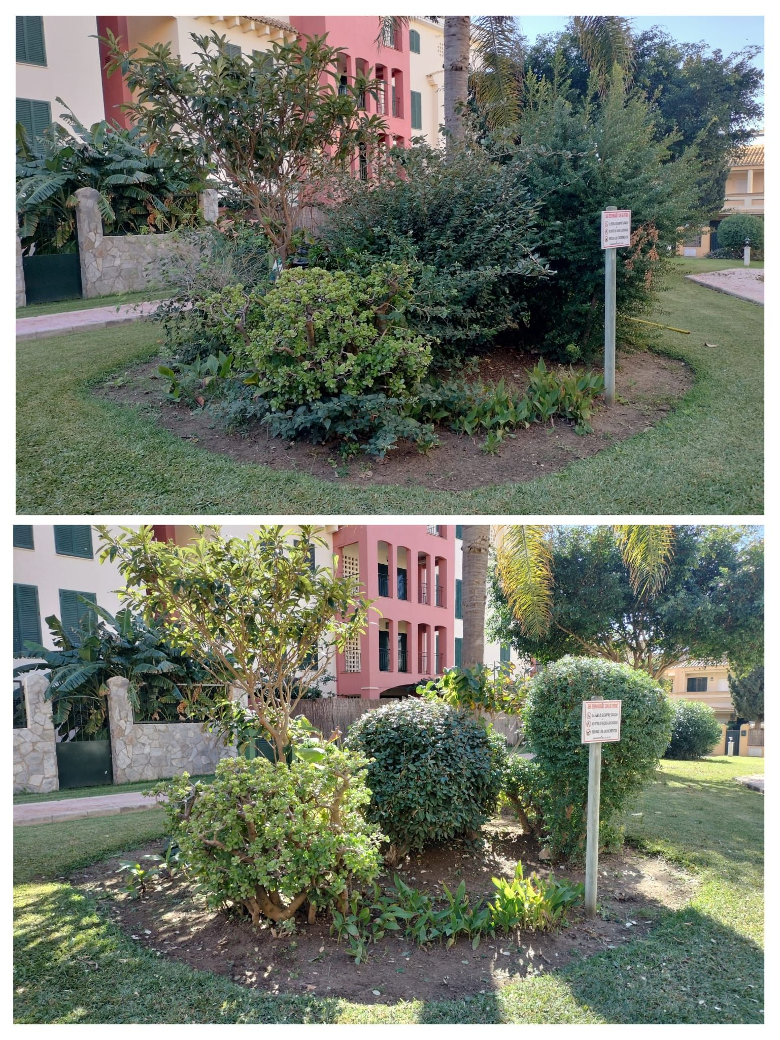 Una foto de antes y después de un jardín con un cartel que dice no estacionar.
