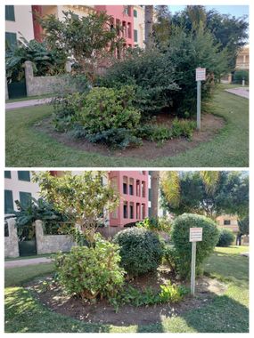 Una foto de antes y después de un jardín con un cartel que dice no estacionar.