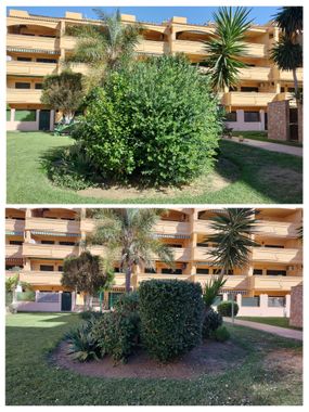 Una fotografía de antes y después de un jardín frente a un edificio.