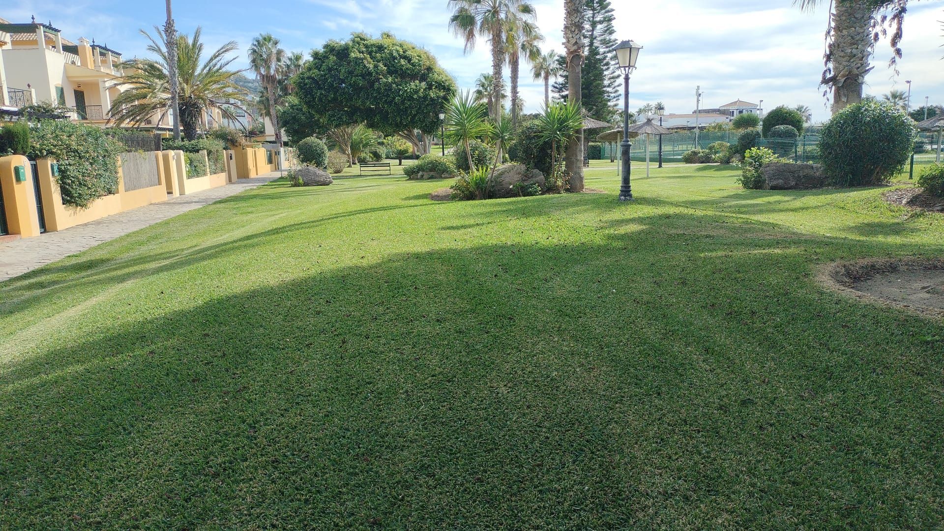 Un césped verde y exuberante en un parque con palmeras y un sendero.