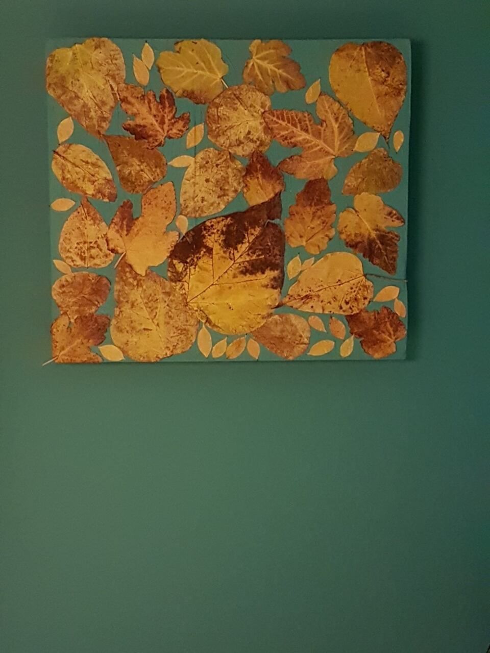 Wanddekoration von Raum- und Objektgestaltung