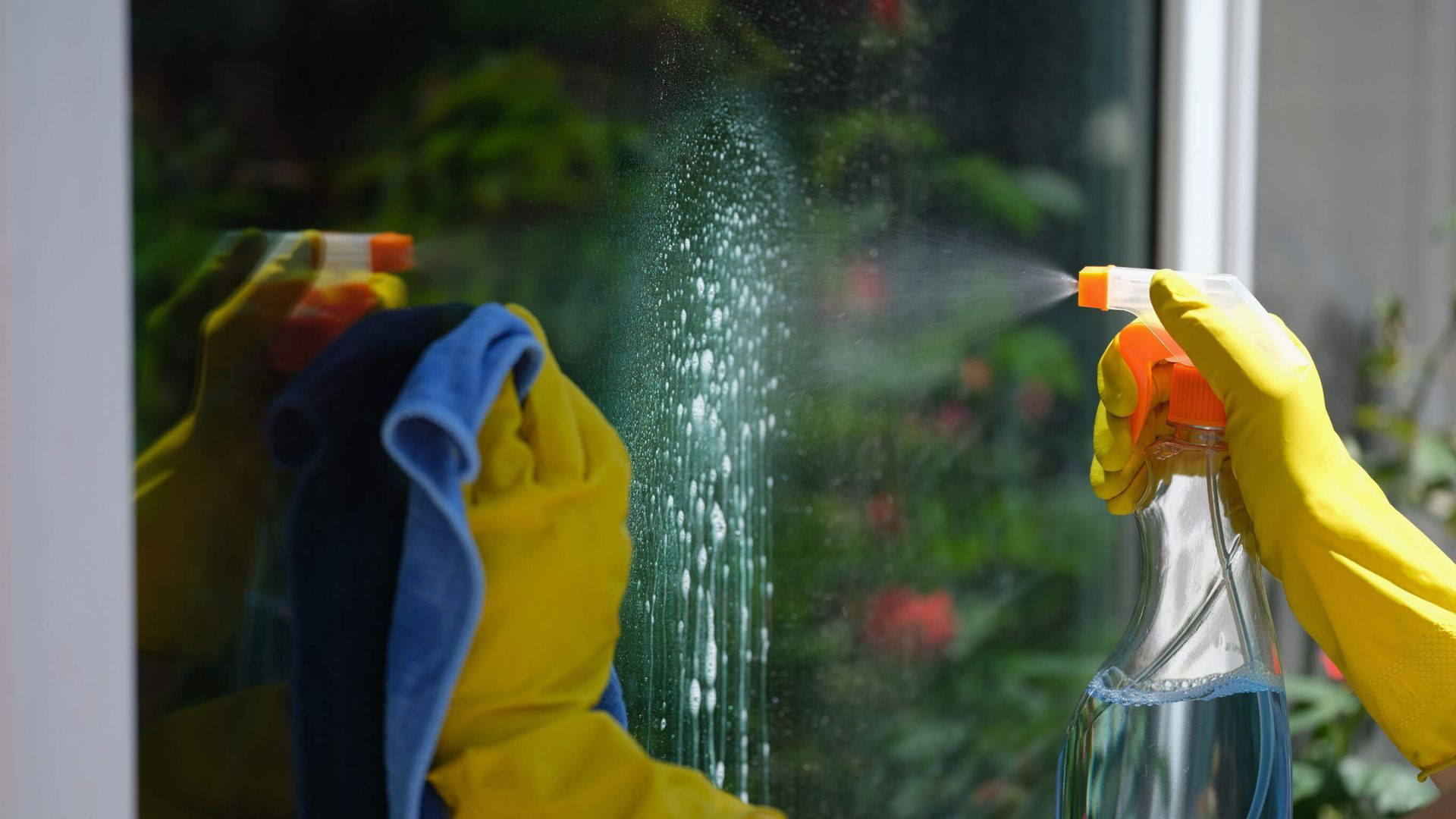 Una persona está limpiando una ventana con una botella de spray y un paño.