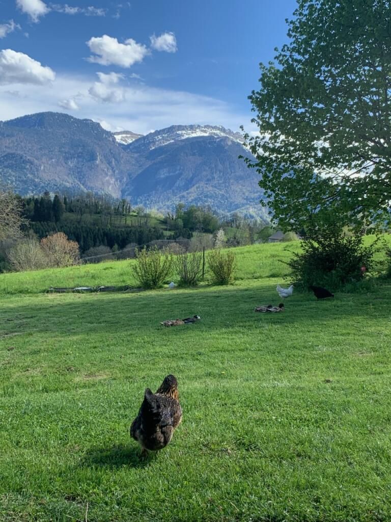 Maison de vacances en Chartreuse avec vue panoramique