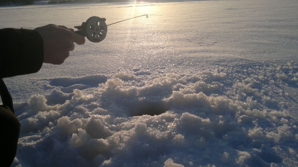 Paavolan Loma-asunnot