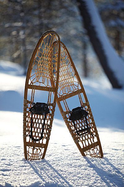 Paavolan Loma-asunnot