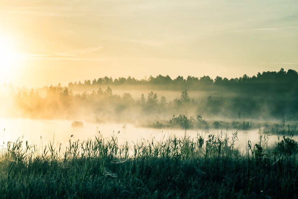 Sumua järvellä