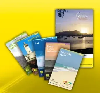 Um monte de panfletos estão sobre uma superfície amarela