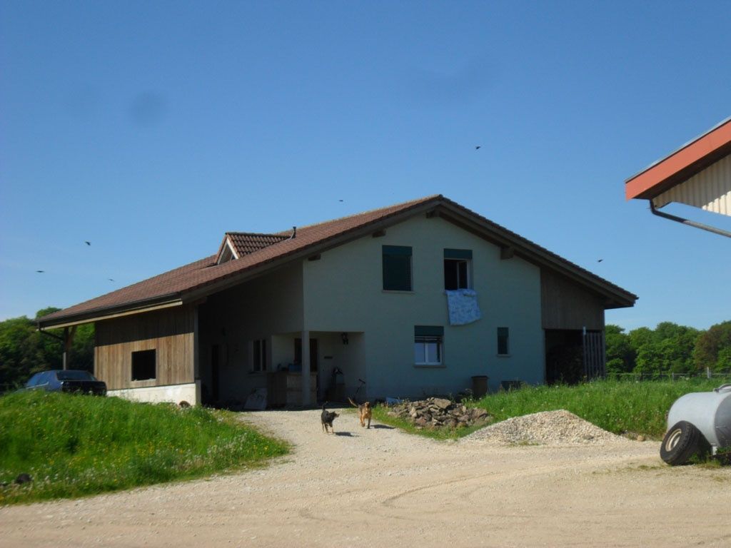 6049797 - Le Resto Liberto - 35161601