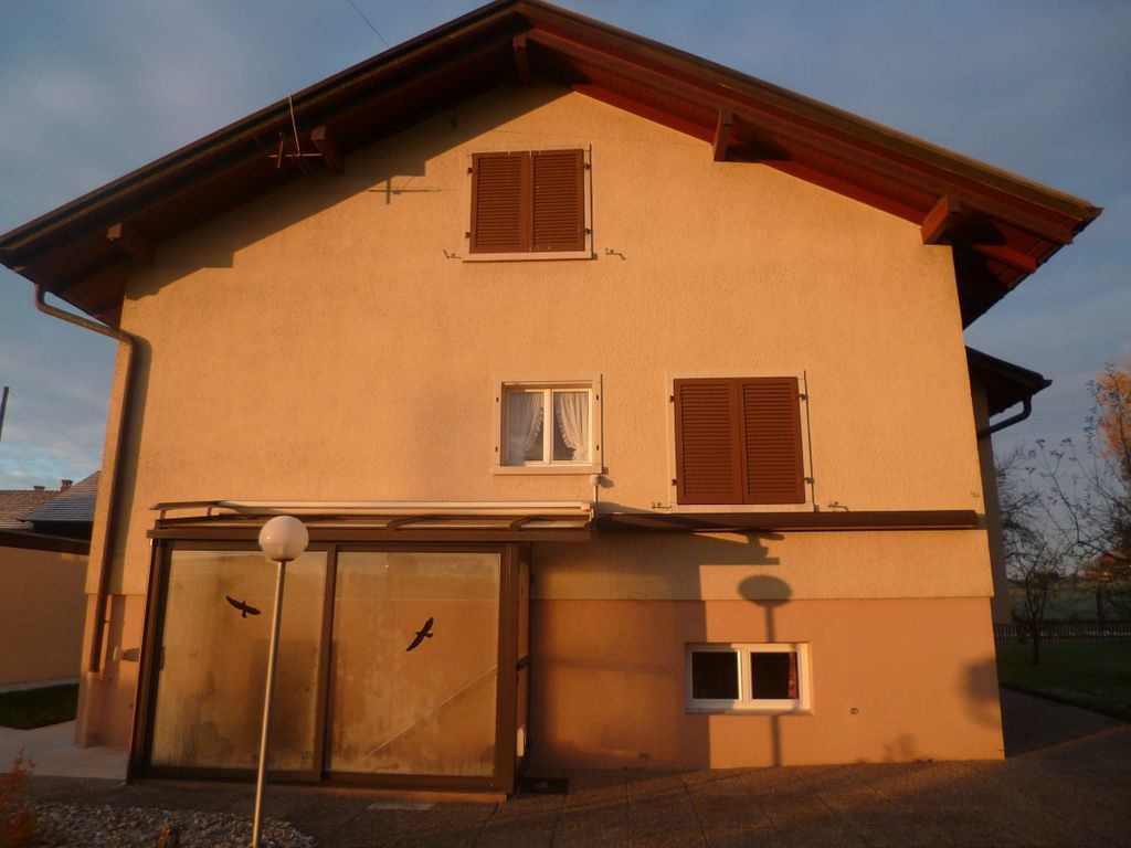 6049797 - Le Resto Liberto - 35161601