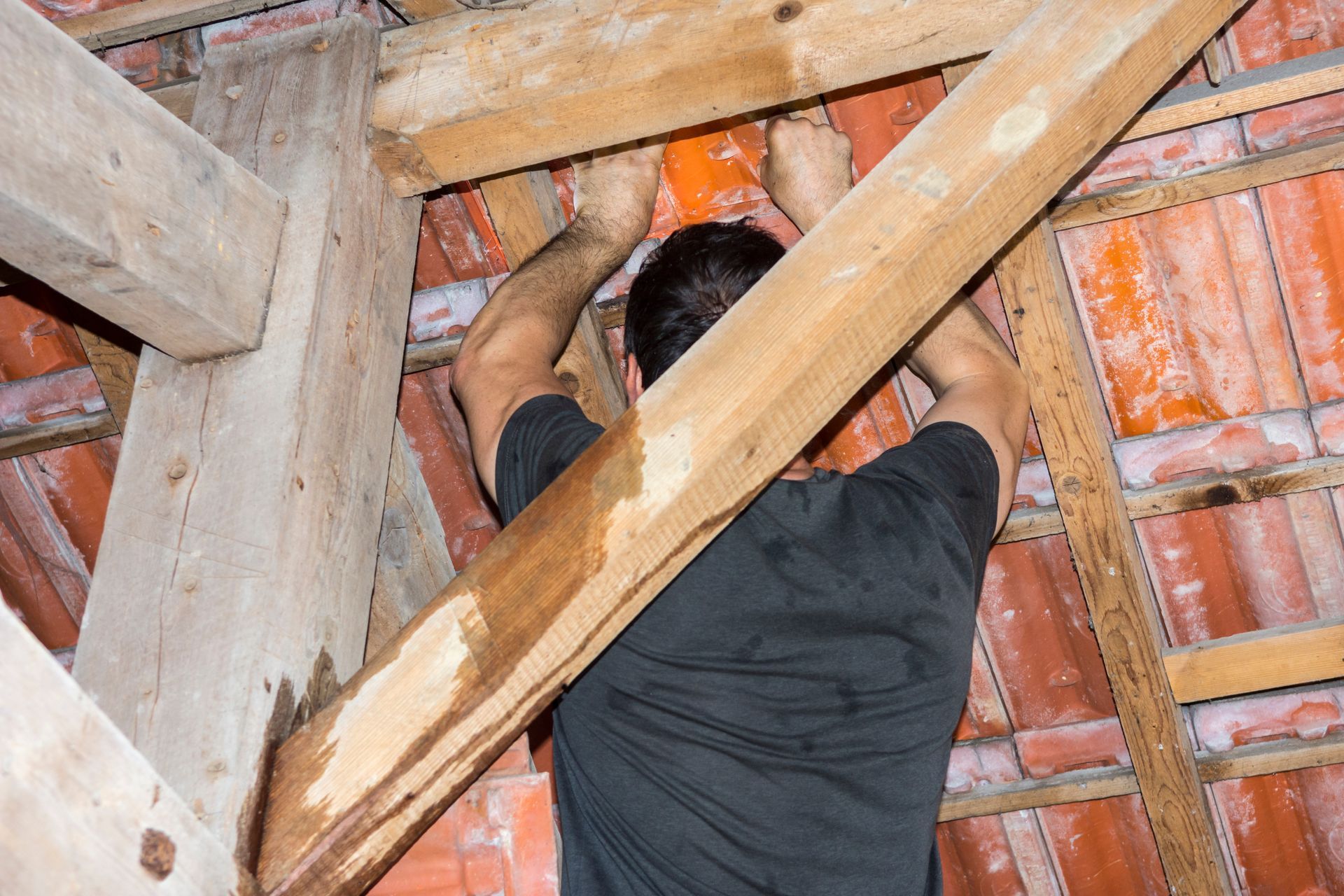 Injection de gel dans le bois