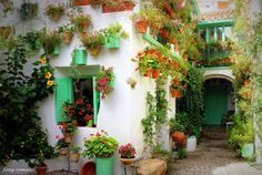 Un edificio blanco con persianas verdes y plantas en macetas a un costado.
