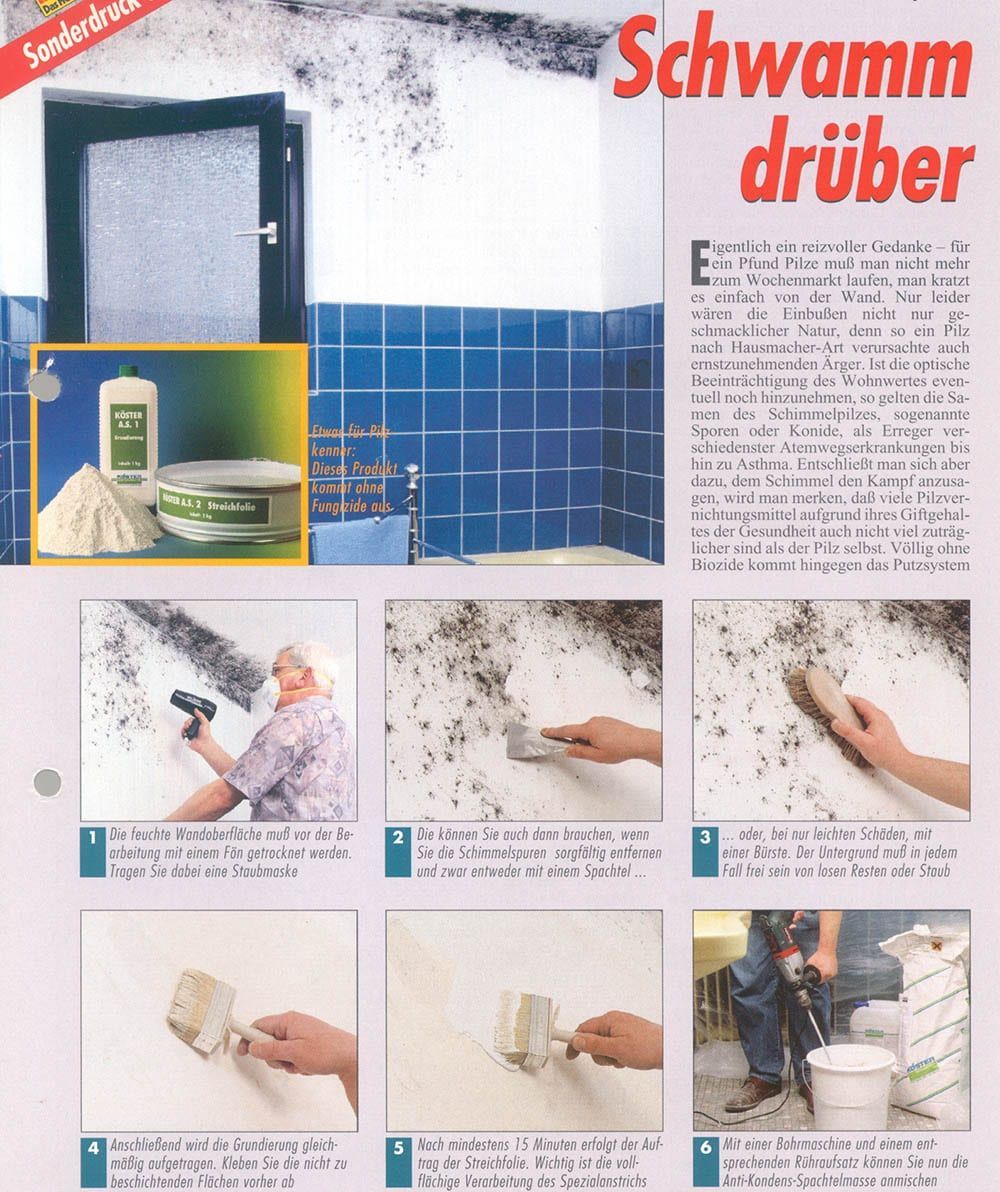 Dokumentation der Schwarzschimmelbeseitigung