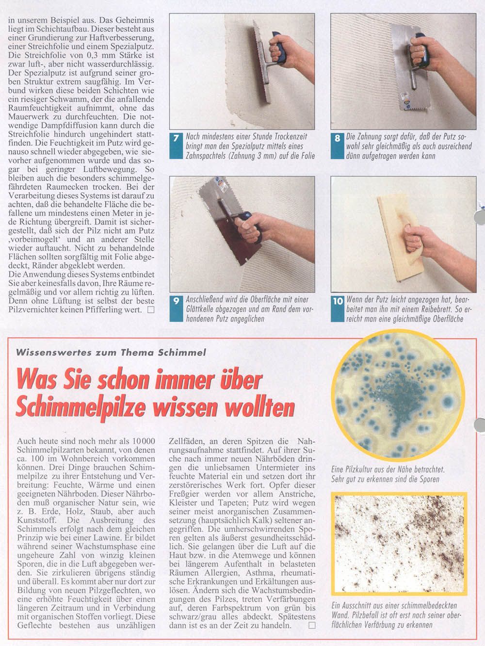 Dokumentation der Schwarzschimmelbeseitigung