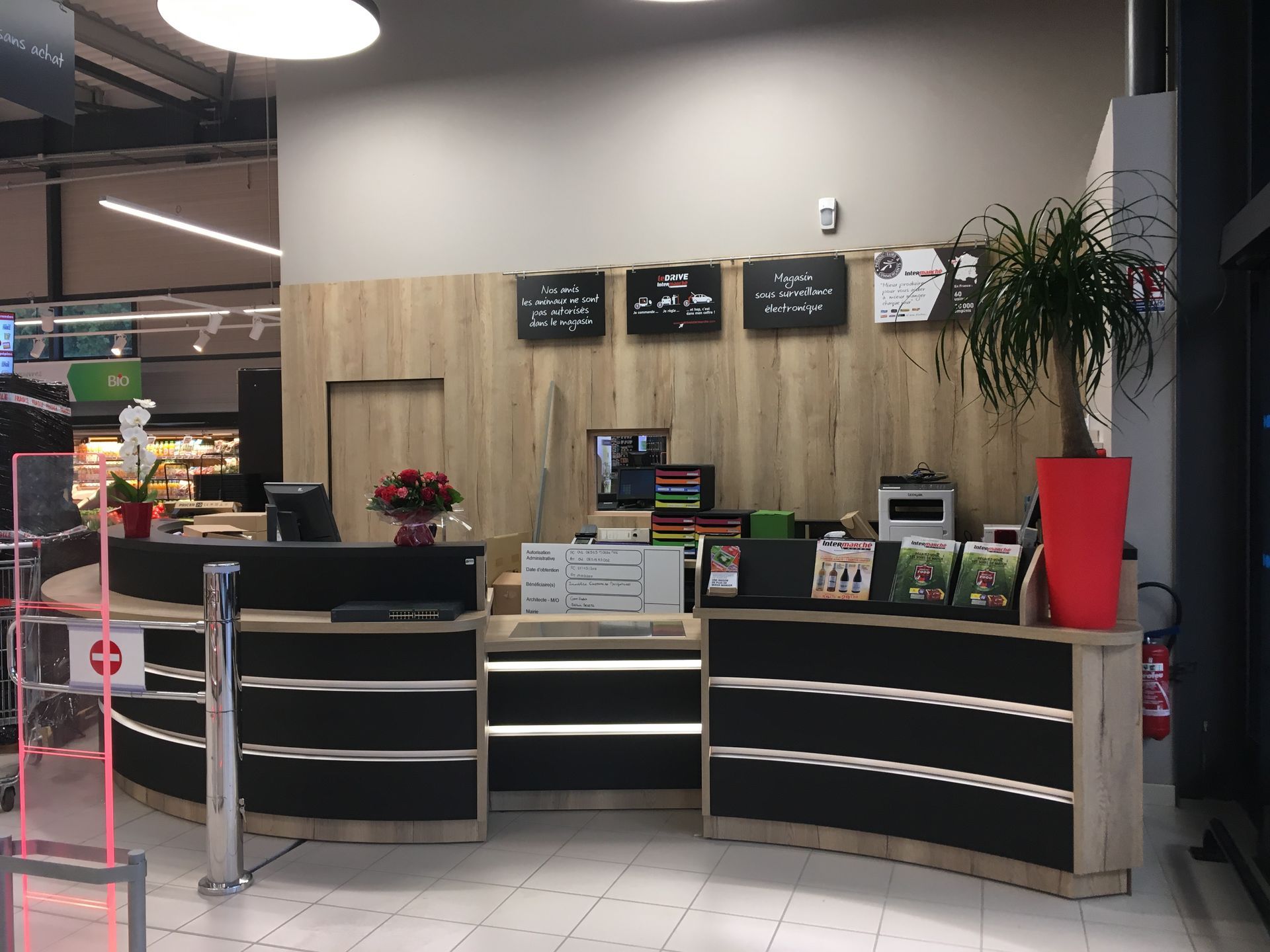 Un comptoir de service à la clientèle incurvé dans un magasin aux boiseries claires, avec des touches de noir et un grand pot de fleurs rouge contenant une plante.
