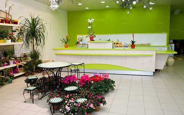 Intérieur d'une boutique de fleurs avec un long comptoir vert citron, une petite table et des chaises en métal, et des fleurs roses en pot.
