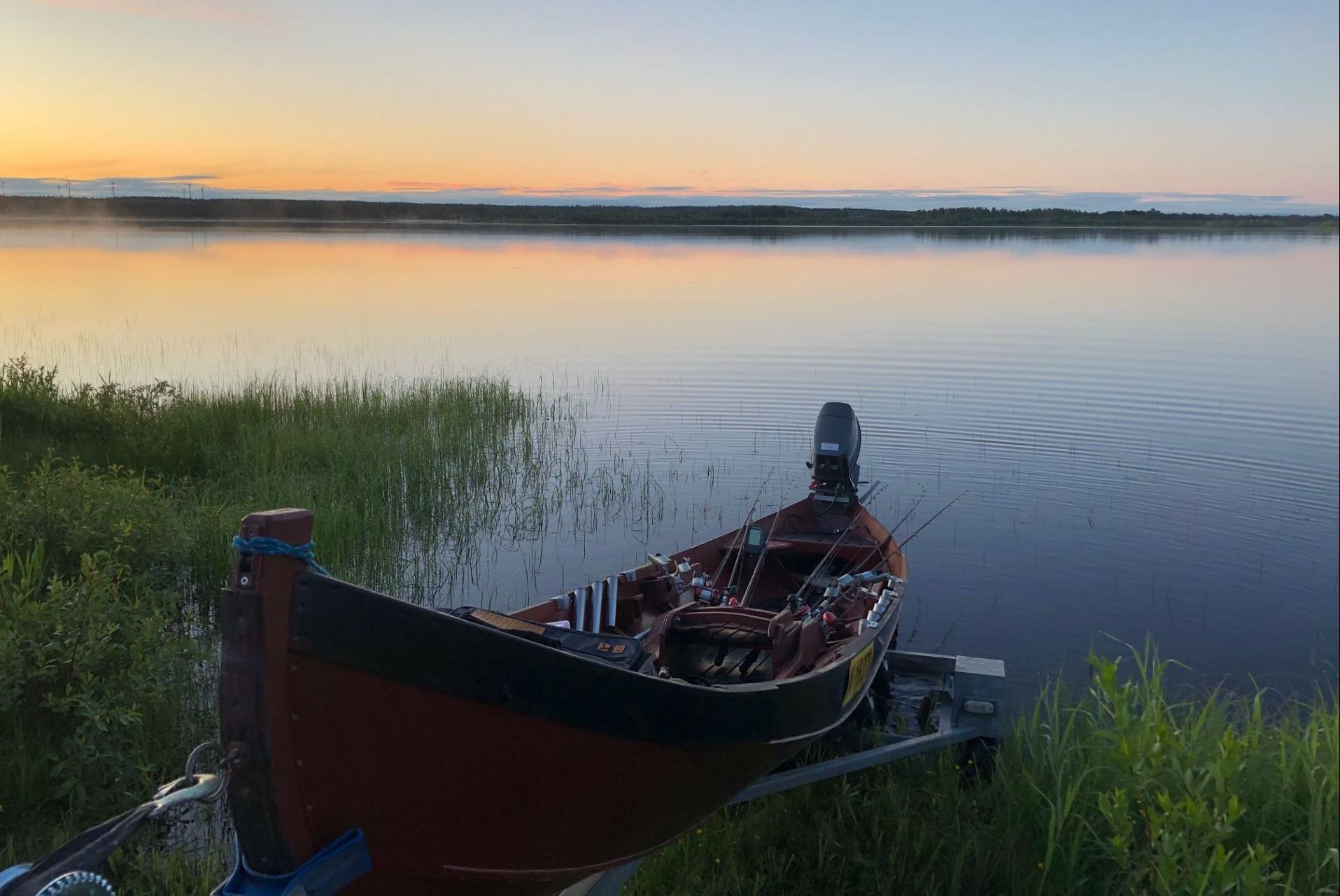 silverygoldfishing