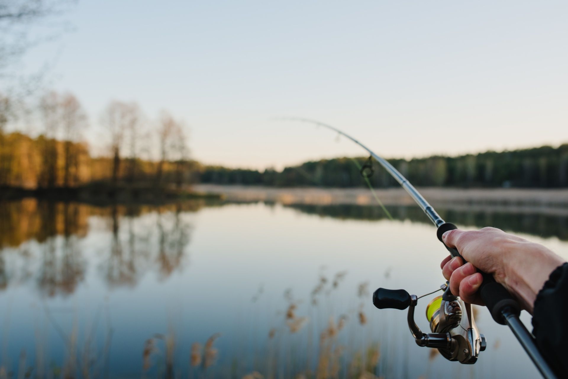 silverygoldfishing