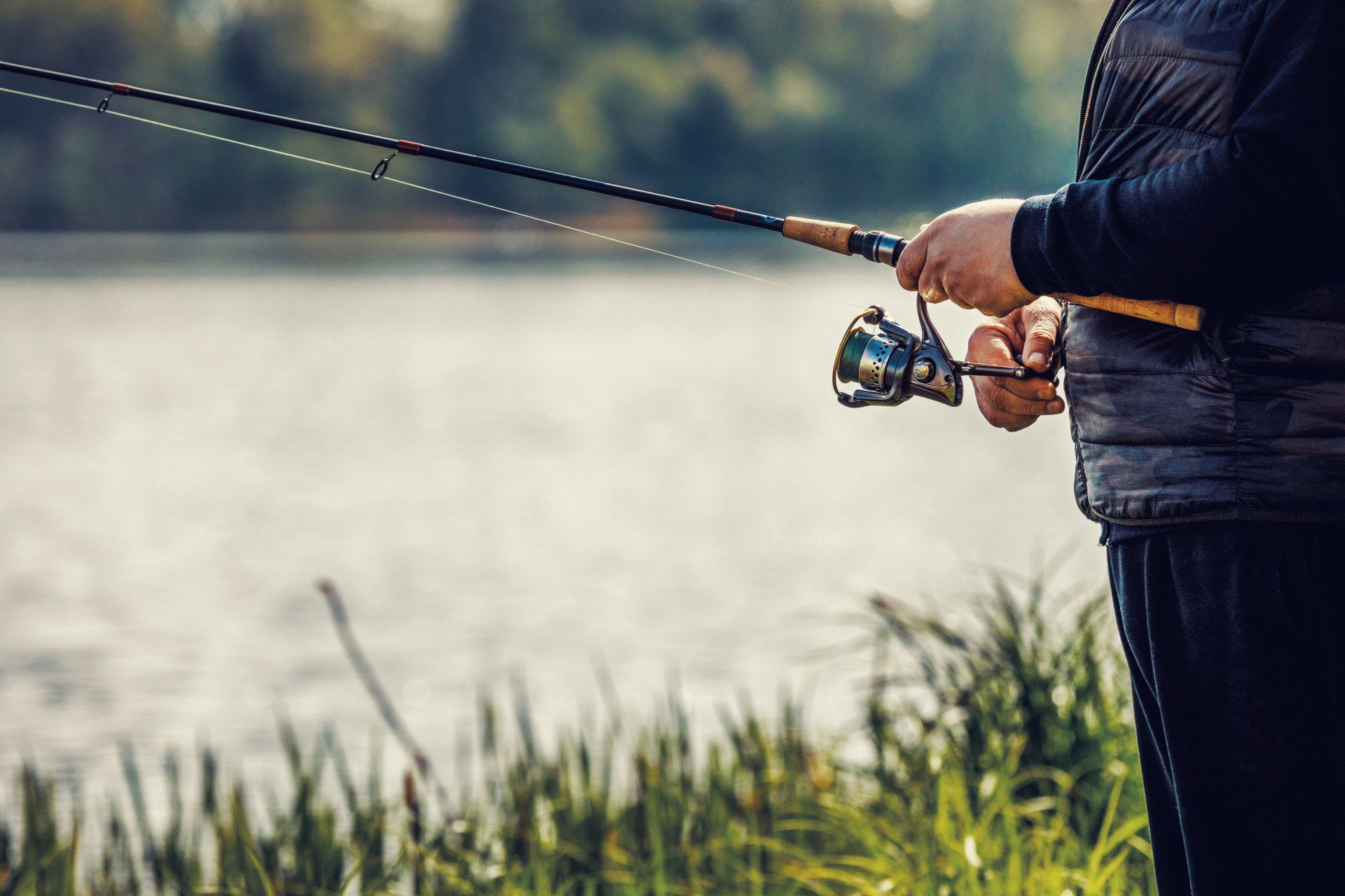 silverygoldfishing