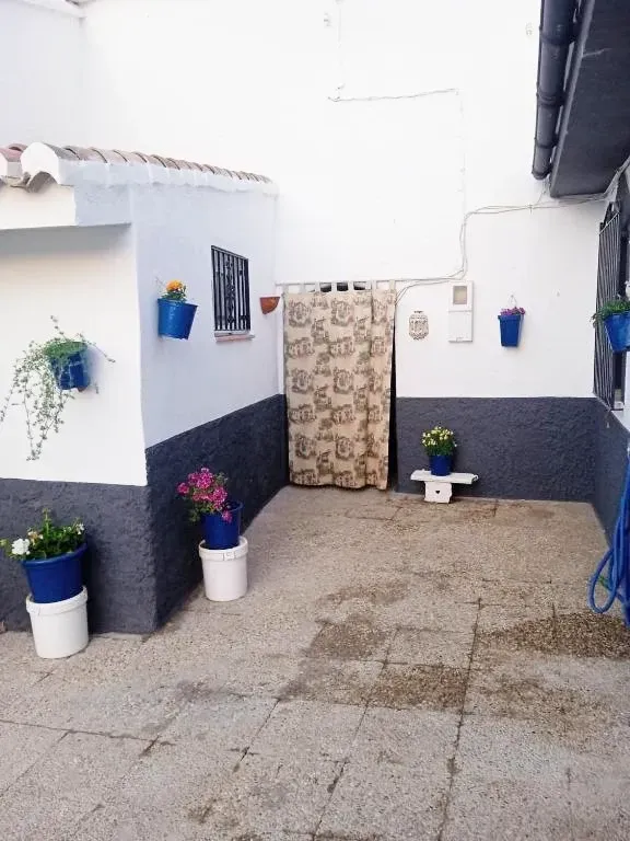 Patio con paredes blancas y azules, flores en macetas y una puerta con cortina estampada.