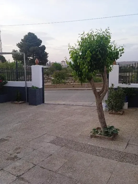 Un árbol frente a un camino de entrada que conduce a un jardín, con un cielo nublado arriba.