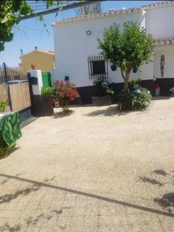Casa blanca con plantas y camino de grava en un día soleado.