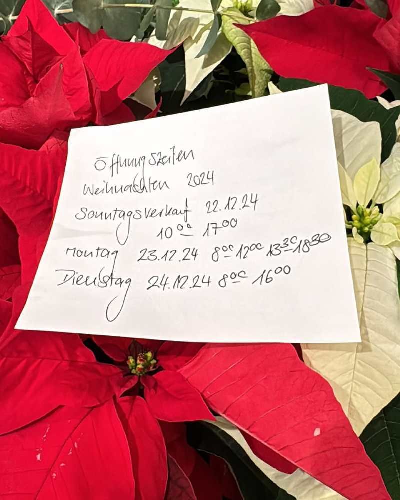 Fiorito Blumen & Mehr